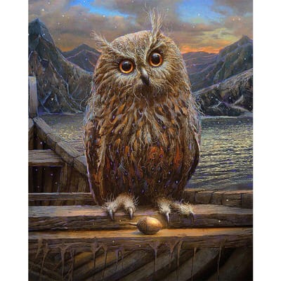 Peinture diamant ronde complète 5D, broderie diamant Animal hibou à faire soi-même 20X30CM gray