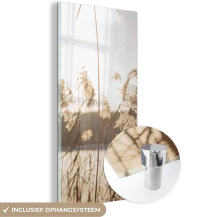 MuchoWow® Glasschilderij 20x40 cm - Schilderij acrylglas - Water - Pampasgras - Planten - Foto op glas - Schilderijen