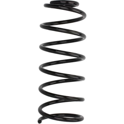Chassisveer MAGNUM TECHNOLOGY SW016MT