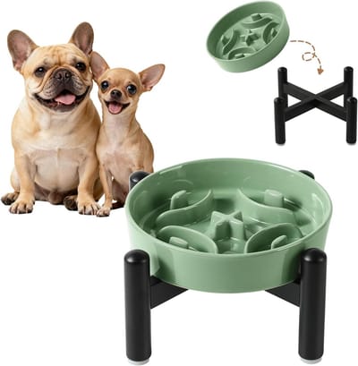 Keramische Maze Hondenvoerbak met RVS Stand - Verhoogde Slow Feeder voor Kleine Rassen - Beheers Eet Snelheid - 6,3 Inch - 0,8 Kopjes (80g) - Groene Kleur