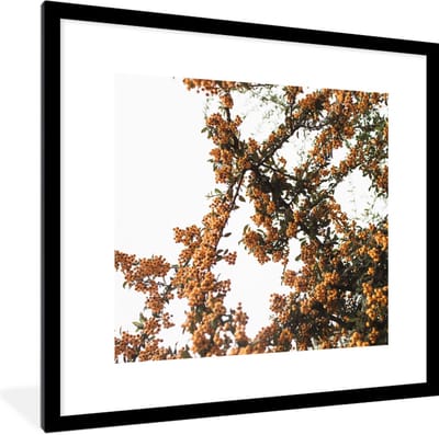 Fotolijst incl. Poster - Bloemen - Takken - Natuur - 40x40 cm - Posterlijst