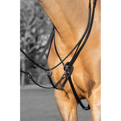 Lemieux Martingaal Kudos Running Zwart - pony