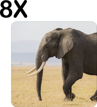 Luxe Placemat - Lopende Olifant in het Wild - Set van 8 Placemats - 50x50 cm - 2 mm dik Vinyl - Anti Slip - Afneembaar
