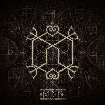 Drif - Heilung
