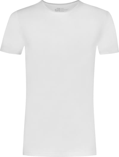Ten Cate Basics organic cotton stretch t-shirt wit 2-pack voor Heren | Maat M