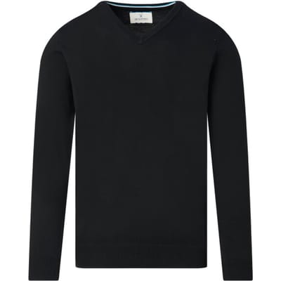 The BLUEPRINT Premium Trui V-hals Heren Zwart
