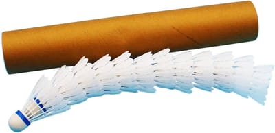 Badminton shuttlecocks - Nylon ballen - Sporten en Spelen - Hogedrukschuim kogelkop - 12 stuks - Wit