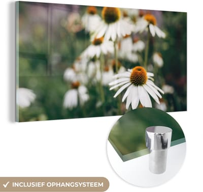 MuchoWow® Glasschilderij 40x20 cm - Schilderij acrylglas - Bloemen - Herfst - Botanisch - Foto op glas - Schilderijen
