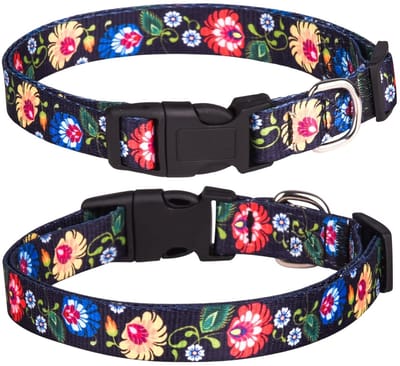 Dailygoods- Halsband Zacht Verstelbaar - Hondenhalsband - Hondenhalsband Met Bloemen - Duurzaam Polyester - Maat L 38-61 cm - Geschikt Voor Kleine/Middelgrote Honden