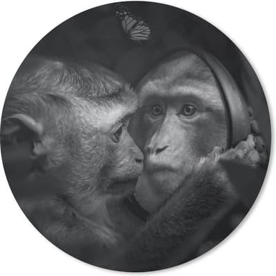 Muismat rond 20x20 cm - Mousepad Vlinder - Aap - Dieren - Jungle - Zwart - Wit - Ronde muismatten