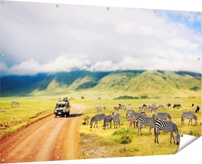 Gards Tuinposter Safari Auto tussen de Zebra's - 180x120 cm - Tuindoek - Tuindecoratie - Wanddecoratie buiten - Tuinschilderij