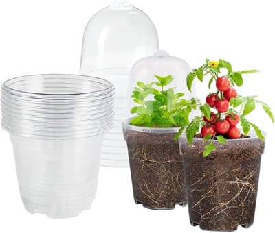 10 stuks kweekpotten met deksel en vochtkoepel, diameter 10 cm, rond, transparant, plastic plantenpotten voor vetplanten, zaden, zaailingen