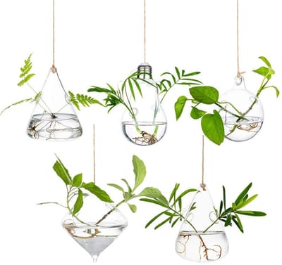 Dailygoods- Plantenbak Stevig Hoog-Borosilicon Glas - Terrarium Containers - Hangende Plantenbakken - Waterplant Decoratie - 5 Stuks met Touw - Geschikt voor Binnen/Buiten