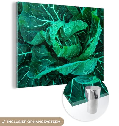 ® Glasschilderij 160x120 cm - Schilderij acrylglas - Donkergroene bladeren van een groene kool - Foto op glas - Muurdecoratie woonkamer - Wanddecoratie slaapkamer - Schilderijen
