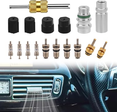 17-delige Airconditioning Ventielkern Set voor R12 en R134A, Teflon Dichting voor A/C Service en HVAC Systemen met Demontagetools en Sealing Caps