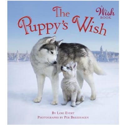 The Puppy's Wish (A Wish Book) - Lori Evert