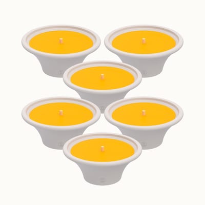 Spaas Citronella Buitenkaars in witte Terracottaschaal – Levendig Geel – circa 9u – 6 tuinkaarsen