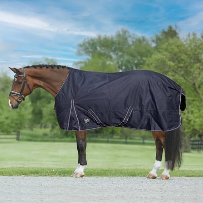 Outdoor paardendeken York Gold Star