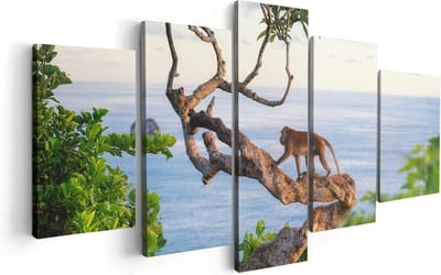 Artaza Canvas Schilderij Vijfluik Aap Klimt In Een Boom Aan Het Water - 100x50 - Foto Op Canvas - Canvas Print