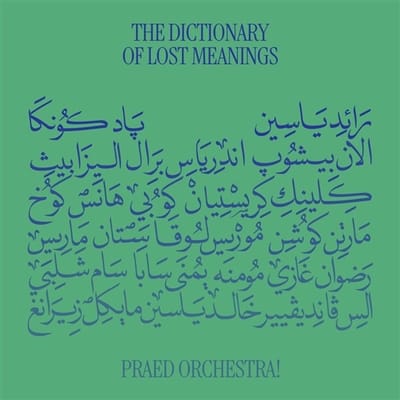 Praed Orchestra! - The Dictionary Of Lost Meanings (2 LP)