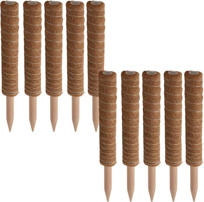 Pro garden plantenstok kokos - 10x - eucalyptushout - D4,5 x H40 cm - plantensteun