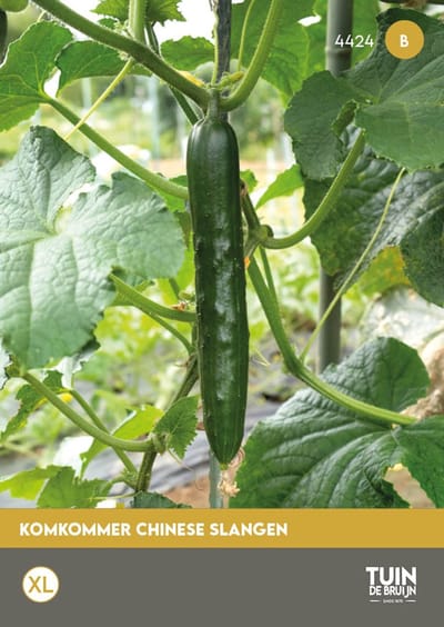 Tuin de Bruijn® zaden - Komkommer Chinese Slangen