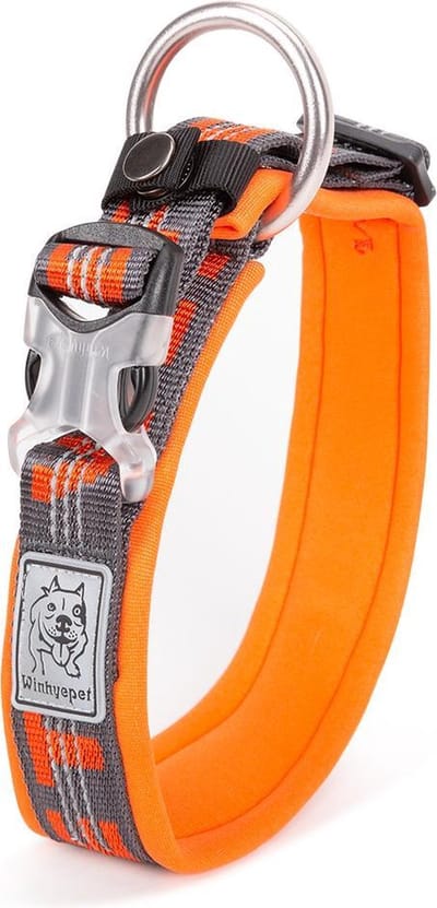 Winhyepet halsband - Halsband - Honden halsband - Halsband voor honden - Oranje M