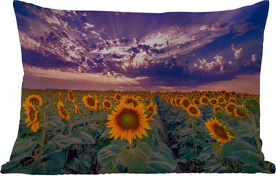 Buitenkussens - Tuin - Bloemen - Lucht - Paars - Zonnebloem - Zonsondergang - 50x30 cm