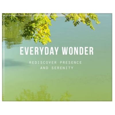 Everyday Wonder - The School of Life