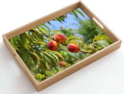 Dienblad hout 50x35 cm - Schootdienblad - Perzik - Bladeren - Zonlicht - Borrelplank rechthoek - Plateau dienbladen