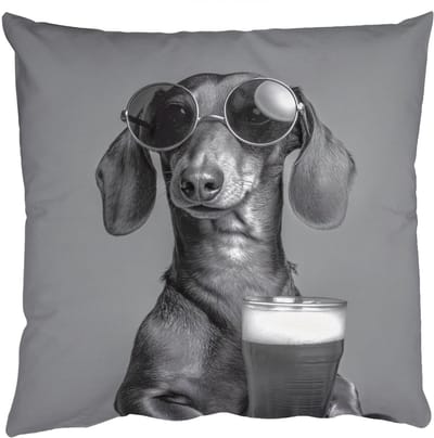 Sierkussens - Kussentjes Woonkamer - 50x50 cm - Teckel - Bier - Glas - Bril