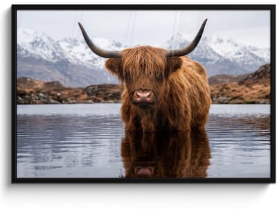 Poster in lijst - Fotolijst 120x80 cm - Posters - Schotse hooglander - Bruin - Water - Posterlijst zwart - Decoratie - Wanddecoratie woonkamer - Muurdecoratie slaapkamer