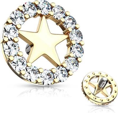 Dermal top cirkel met ster gold plated 1.6mm - LMPiercings