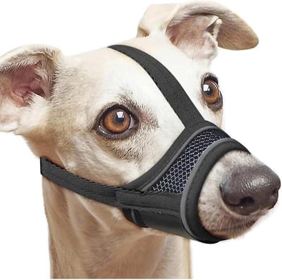 Allecto Plus - Mesh hondenmuilkorf voor kleine honden met verstelbare riem - Voorkom blaffen en kauwen - Ademend en reflecterend - Bovenhoofdband - 1 stuk