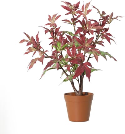 Florafy Kunstplant Esdoorn 53cm - Kunstplanten voor binnen - Onderhoudsvrij