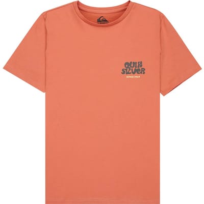 Quiksilver Fruits Tide T-shirt Met Korte Mouwen Oranje 14 Years Jongen