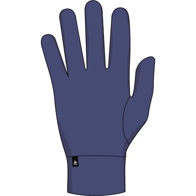 Odlo Active Warm Eco Handschoenen Blauw,Paars XL