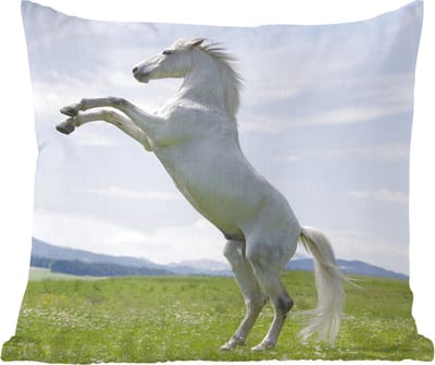 Sierkussens - Kussentjes Woonkamer - 60x60 cm - Paard - Steigeren - Natuur
