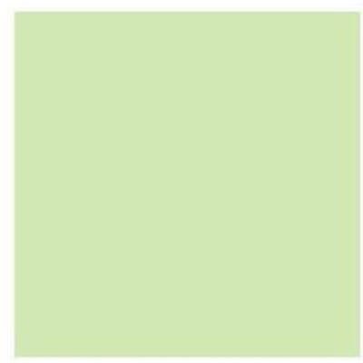 Derwent Pastel Potlood - Pale Olive P490