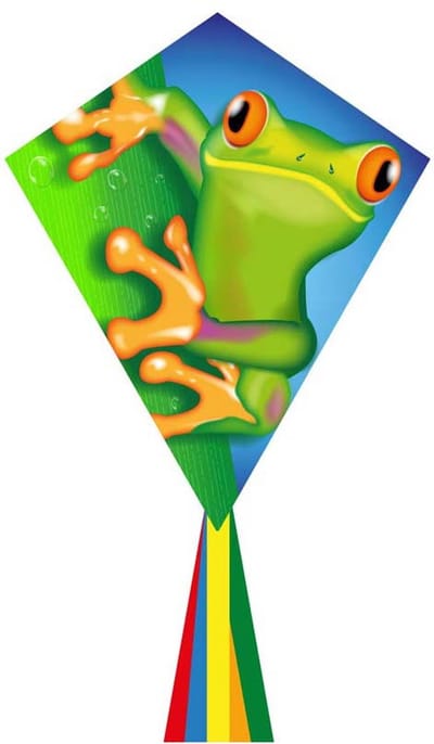 Kindervlieger HQ Eddy 70 Froggy 102121 Groen 58 x 70 cm + 250 cm staart