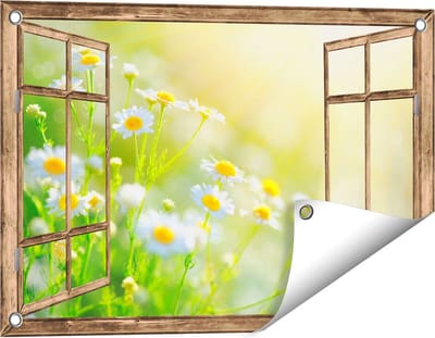 Gards Tuinposter Doorkijk Witte Kamille Bloemen met Zonneschijn - 60x40 cm - Tuindoek - Tuindecoratie - Wanddecoratie buiten - Tuinschilderij