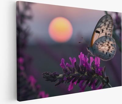 Saammp Muurcirkel Hout - Abstract - Afrikaanse Vrouw - Rode Bloemen - Ø 80 - Wandcirkel - Wanddecoratie Cirkel - Muurdecoratie Woonkamer - Slaapkamer decoratie - Rond Schilderij