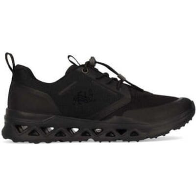 Lage Sneakers Salamander -