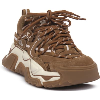 Lage Sneakers Steve Madden CHESTNUT KINGDOM