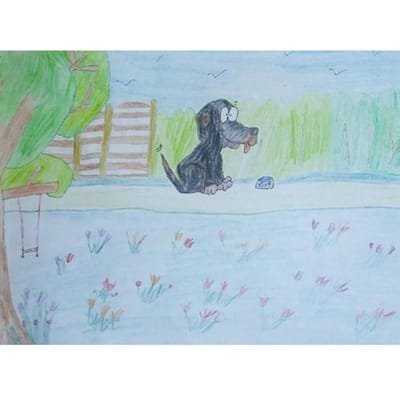 De Avonturen Van Blacky - Nupur Geerds-Deen