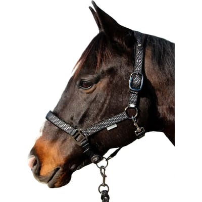 Halster en touwset voor paarden Canter Sonoma