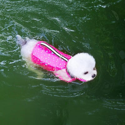 Reddingsvest Hond Zomer Reddingsvest Met Verwijderbare Voorste Drijver Verstelbaar Hoge Drijfkracht Zwempakken Voor Kleine Middelgrote Honden Zwemmen (rose,XS for 1.5-2.5kg) helder roze