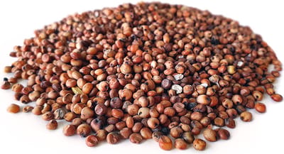 Dari Rood 20KG - Karpervissen - Partikels - Karper Aas - Karper Vissen - Karper Voer - Karper