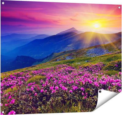 Gards Tuinposter Roze Rhododendron Bloemenveld - Bergen - 100x80 cm - Tuindoek - Tuindecoratie - Wanddecoratie buiten - Tuinschilderij