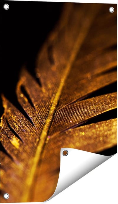 Gards Tuinposter Gouden Veer - 40x60 cm - Tuindoek - Tuindecoratie - Wanddecoratie buiten - Tuinschilderij